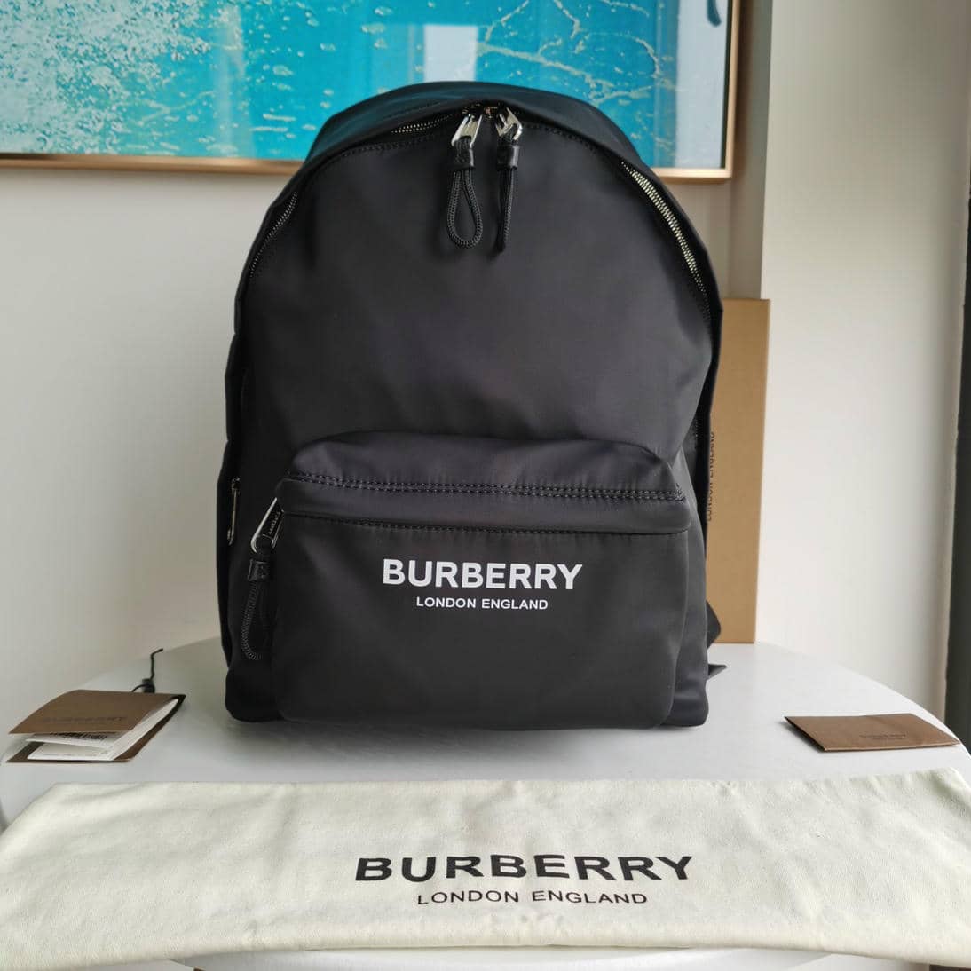 Burberry Bag 223